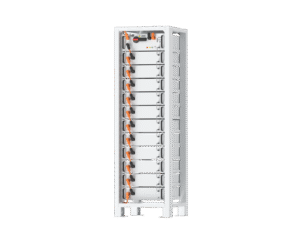 Home BYD MAX LITEIN 300x243